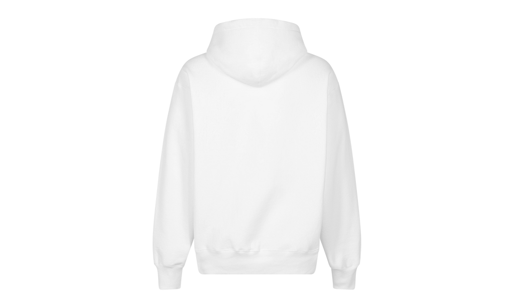 Box Logo Hoodie "FW23 - White" SU100157