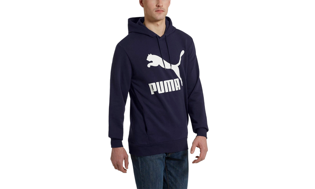 Classics Logo Hoodie "Blue" 578074 06