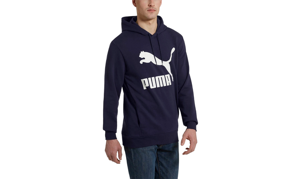 Classics Logo Hoodie "Blue" 578074 06