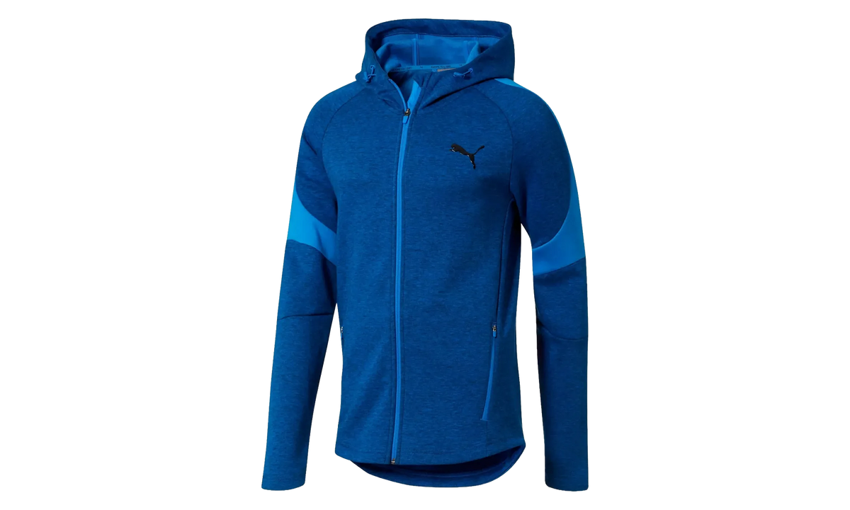 Evostripe Full Zip Hoodie 851722 37