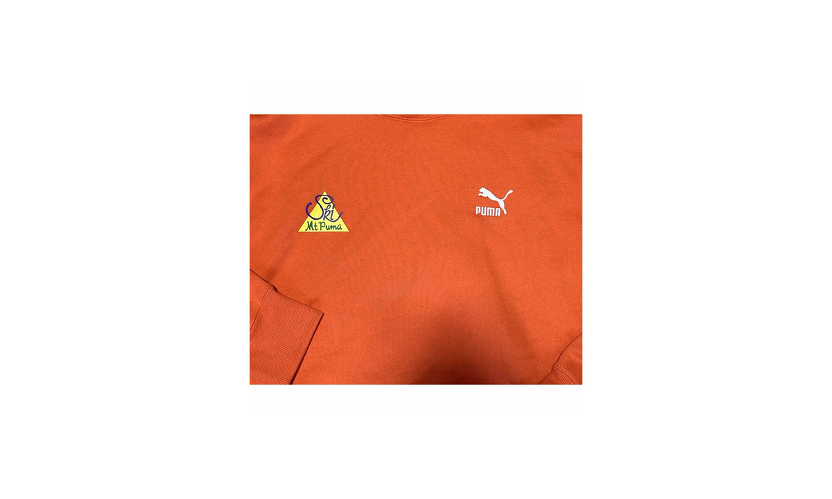 The Neverworn II Hoodie "FALL FOLIAGE" 620845 39