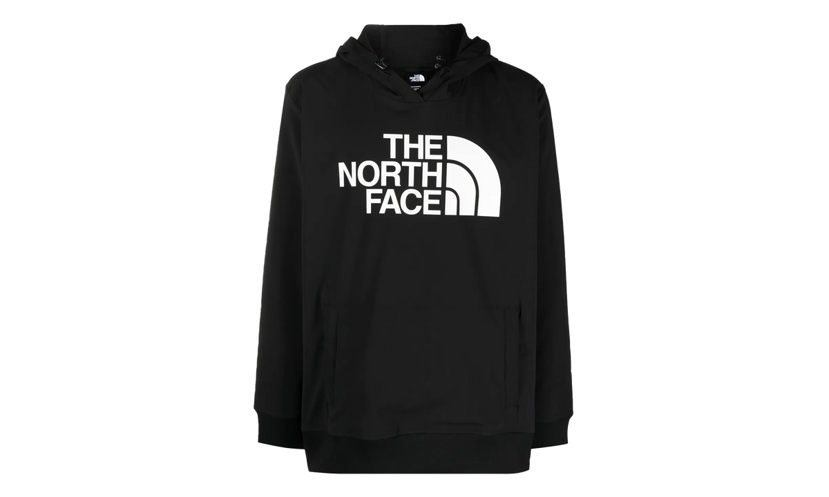 Tekno Logo Pullover Hoodie "Black" NF0A82V64H01