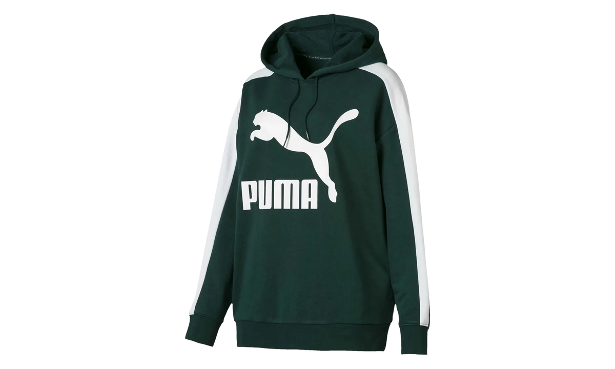 Classics Logo T7 Hoodie 578032 30