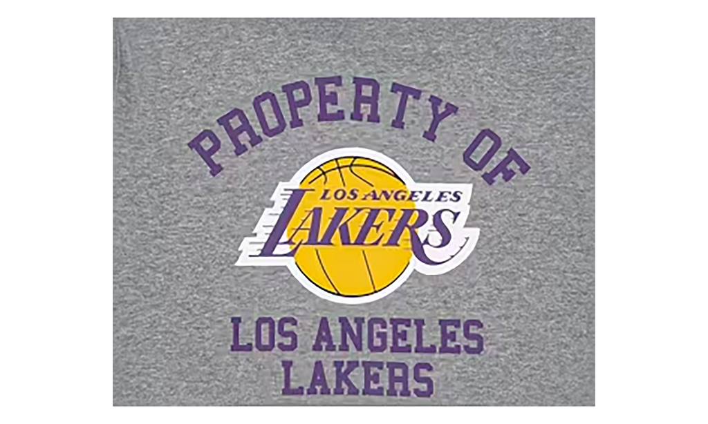 EE NBA Hoodie "Los Angeles Lakers - Grey" EE173