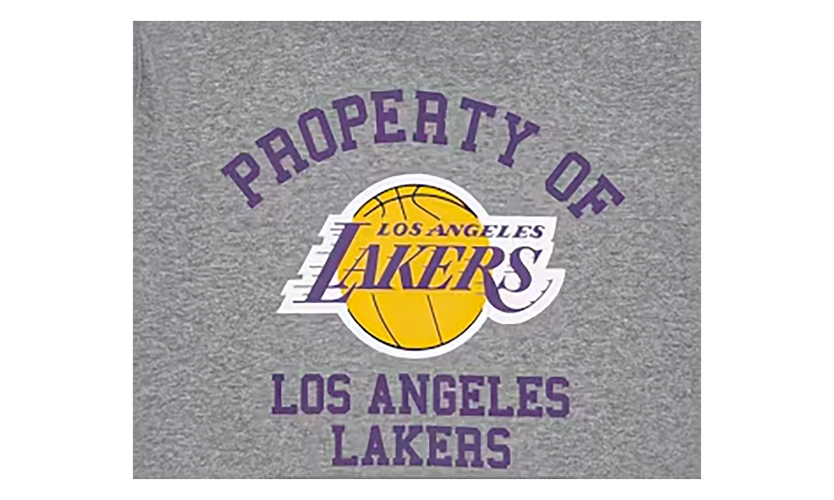 EE NBA Hoodie "Los Angeles Lakers - Grey" EE173