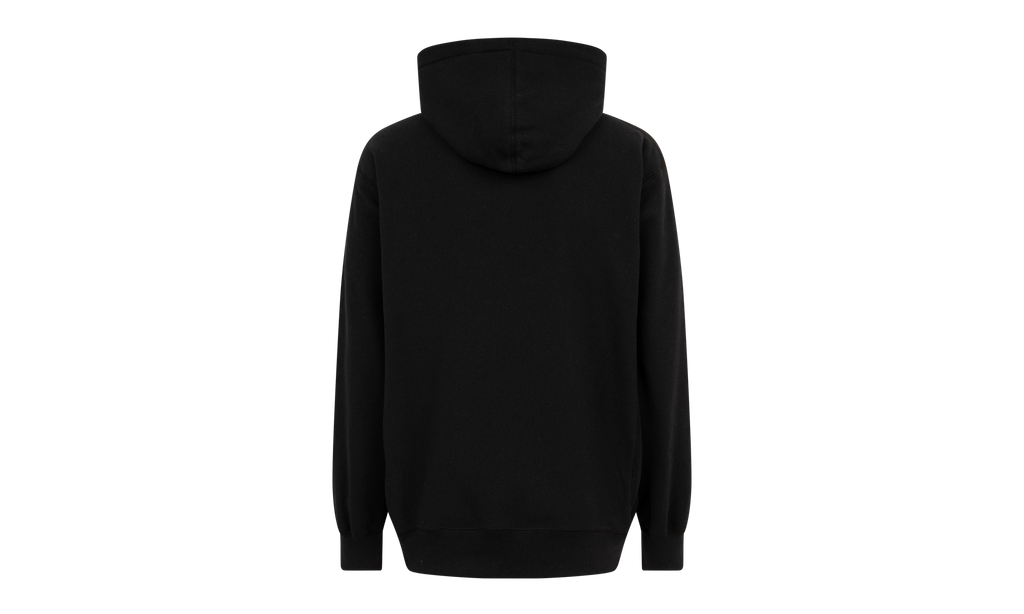 FTP Arc Logo Hoodie "SS21" SU10571