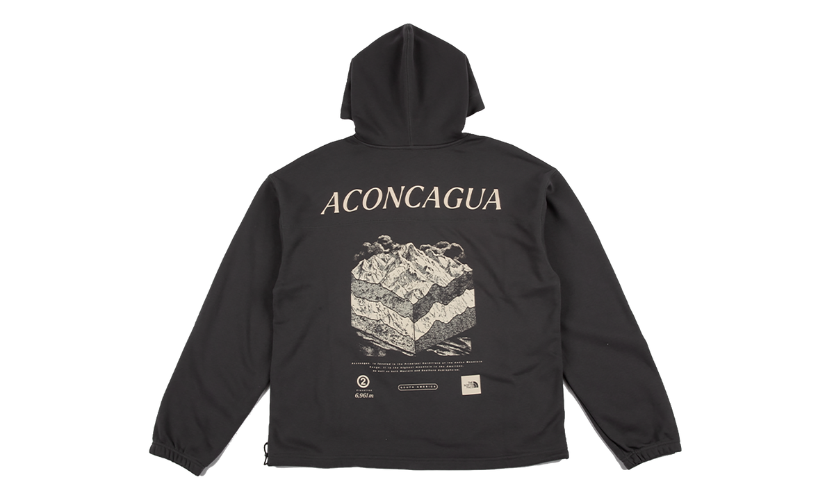 Places We Love Hoodie "Aconcagua Anthracite Grey" NF0A8JEM RHI