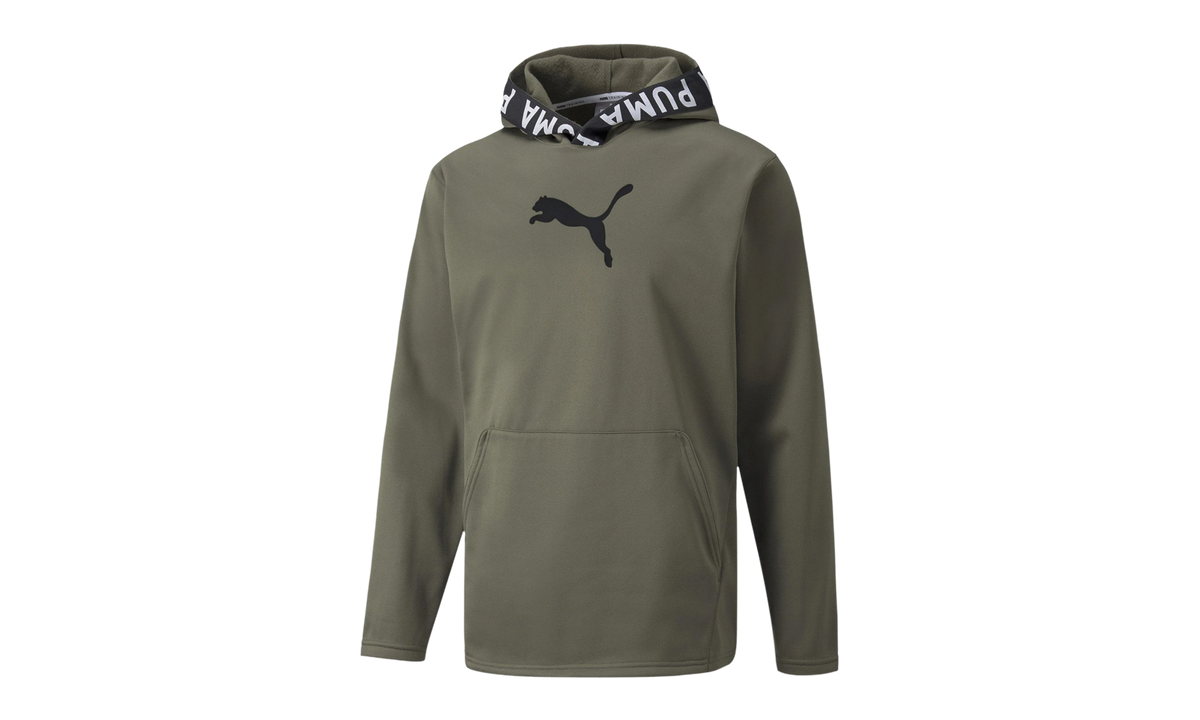 Train Power Fleece Hoodie "Grape Leaf" 520893 44