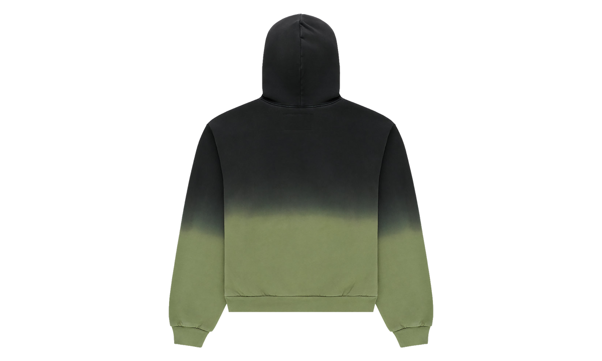 OG Web Ombre Hoodie "Green" SP5der355