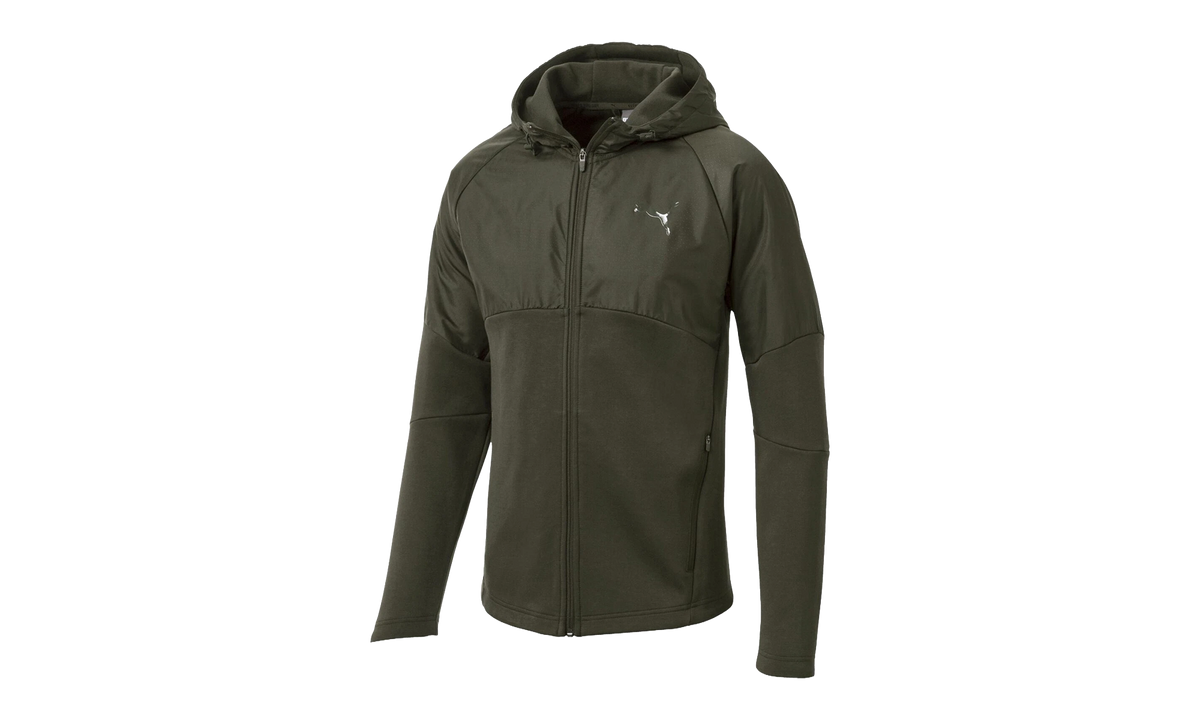 Evostripe WR Full-Zip Hoodie "Forest Night" 851726 15