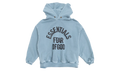 Campus 90's Hoodie GS "Faded Coastal" 785SP262753K