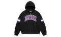 DT Stripe Zip Hoodie "Black" DT876