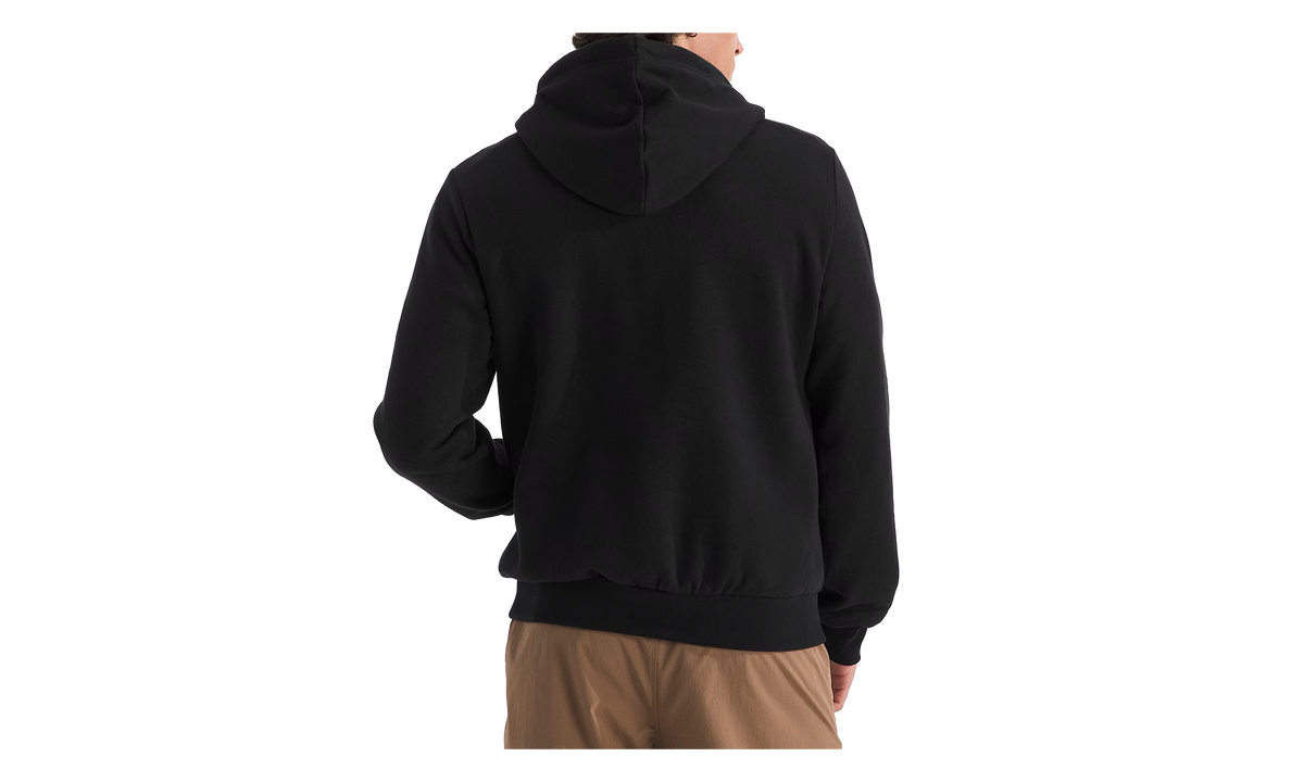 Evolution Half Dome Hoodie "TNF Black" NF0A8CWRJK3
