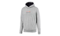 RED BULL RACING DYNAMIC BULL HOODIE "Gray" 596207 02