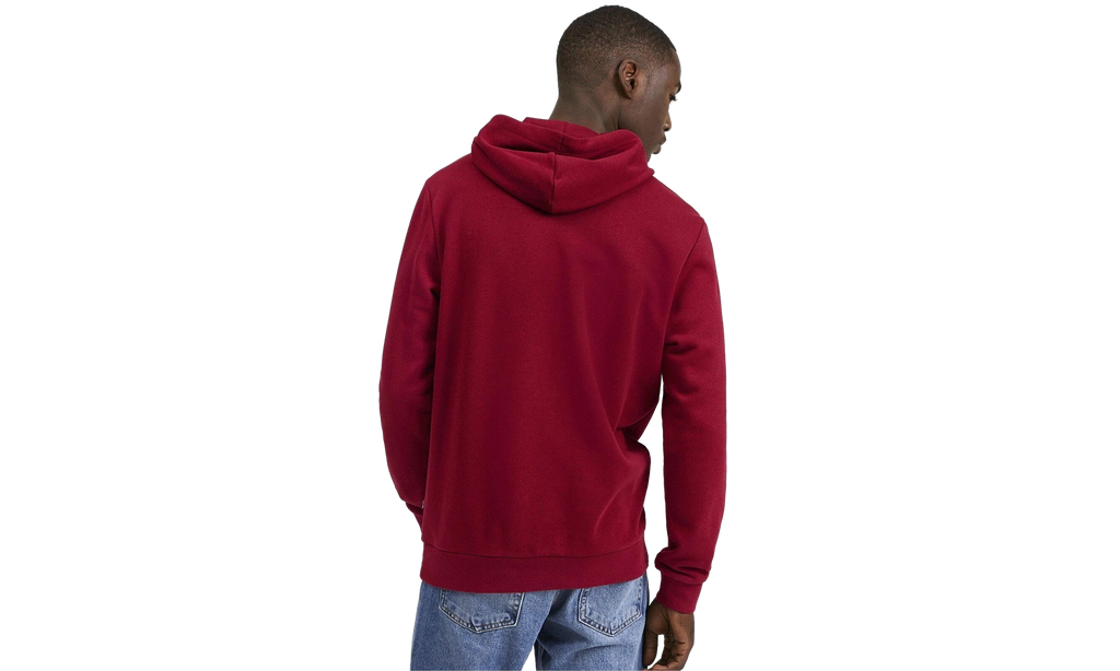 Essentials Big Logo Fleece Hoodie "Red" 580685 57