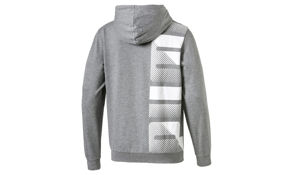 SUMMER LOGO FULL ZIP HOODIE "Grey" 579531 03
