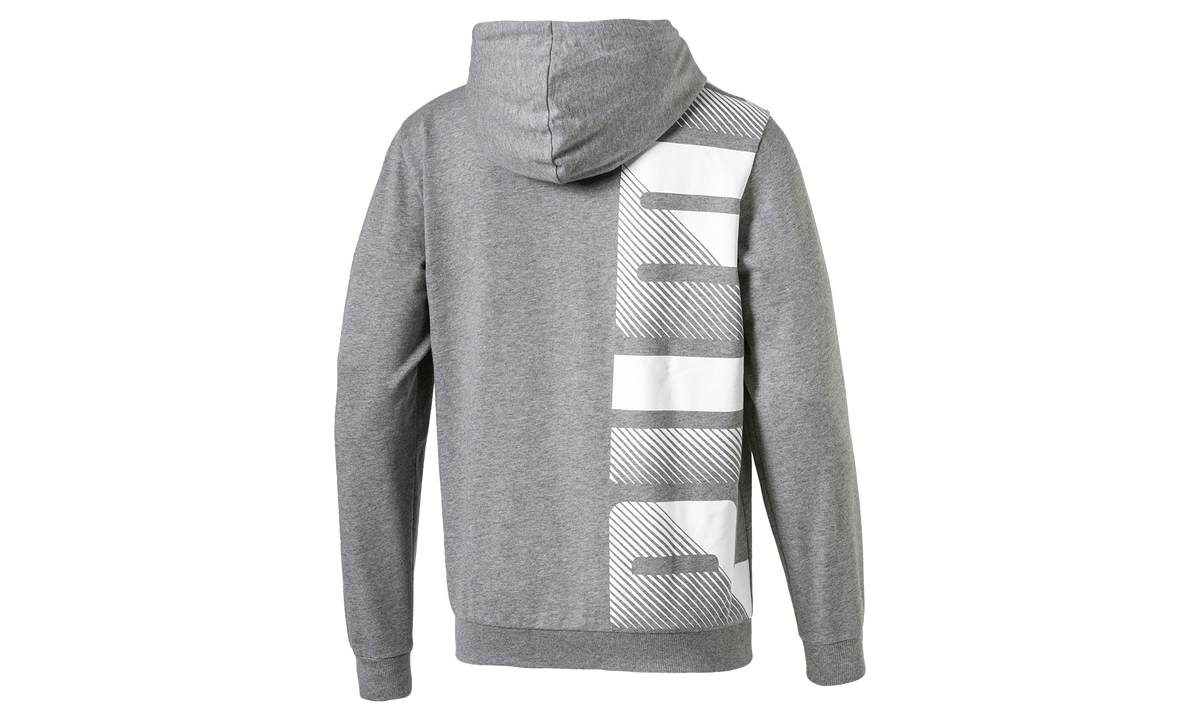 SUMMER LOGO FULL ZIP HOODIE "Grey" 579531 03