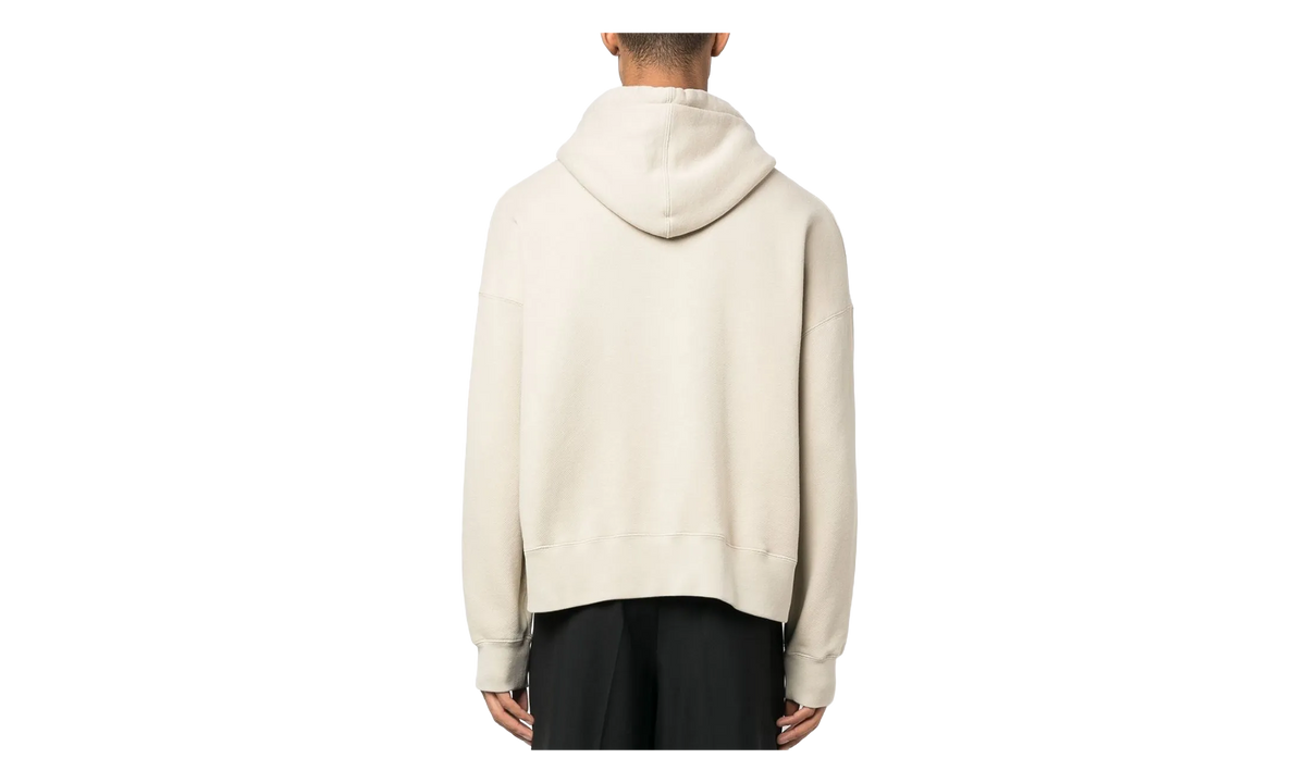 Broken Palm Hoodie "Beige / Green" PMBB058C99FLE0046155