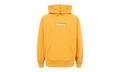 Box Logo Hoodie "FW21" SU11228