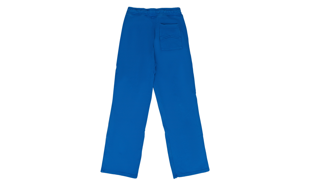 Script Logo Baggy Sweatpant "Blue" RHPF24SP01012