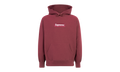 Box Logo Hoodie "FW21" SU11226