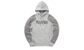 HOODIE "PLEASURES -Gray" 624094 04