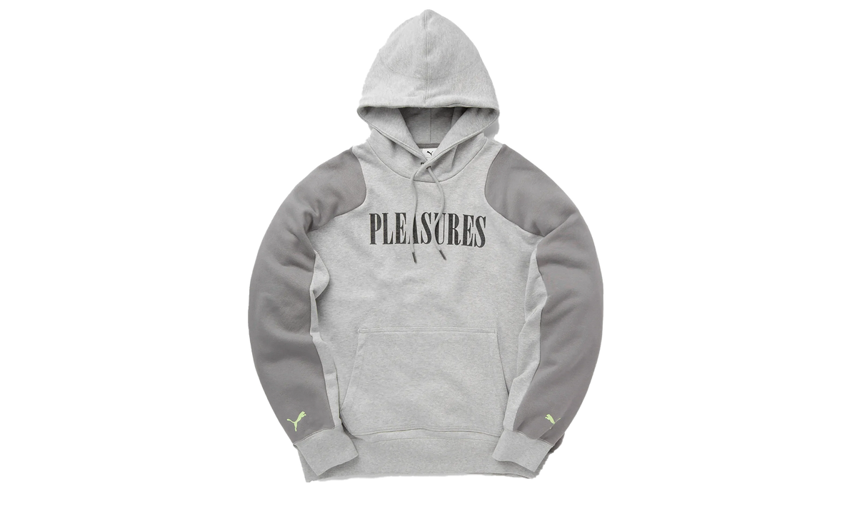 HOODIE "PLEASURES -Gray" 624094 04
