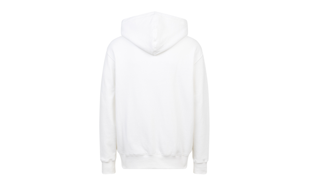 TNF Lenticular Mountain Hoodie "FW21" SU11051