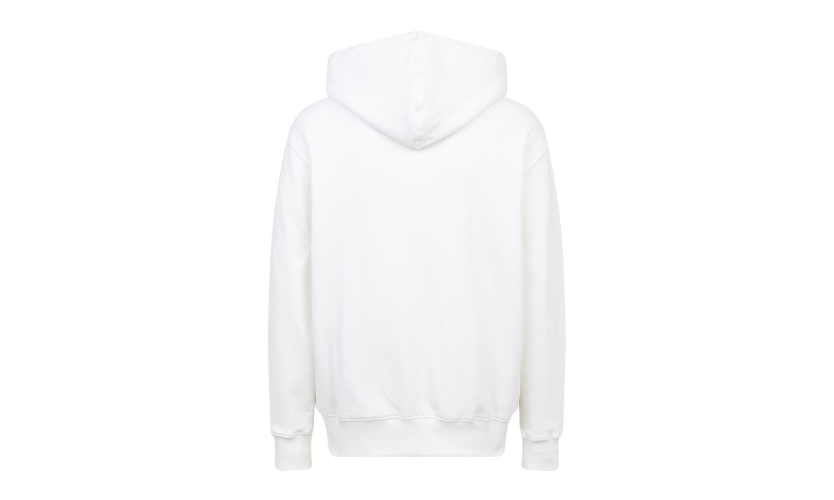 TNF Lenticular Mountain Hoodie "FW21" SU11051