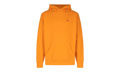 Small Box Hoodie "FW21" SU11029