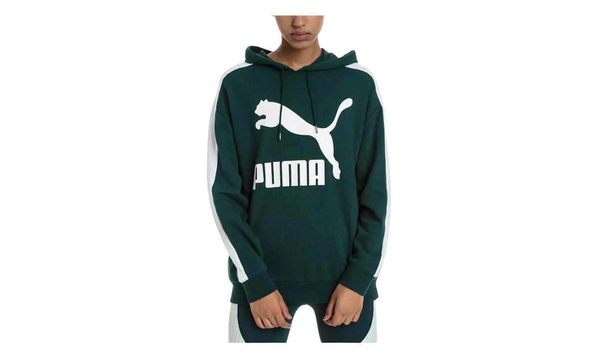 Classics Logo T7 Hoodie 578032 30