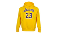 Lakers Essential NBA Hoodie "Amarillo / Field Purple" CZ0282 728