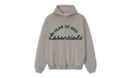 Training 90s Hoodie "Faded Seal" 192SP264463F