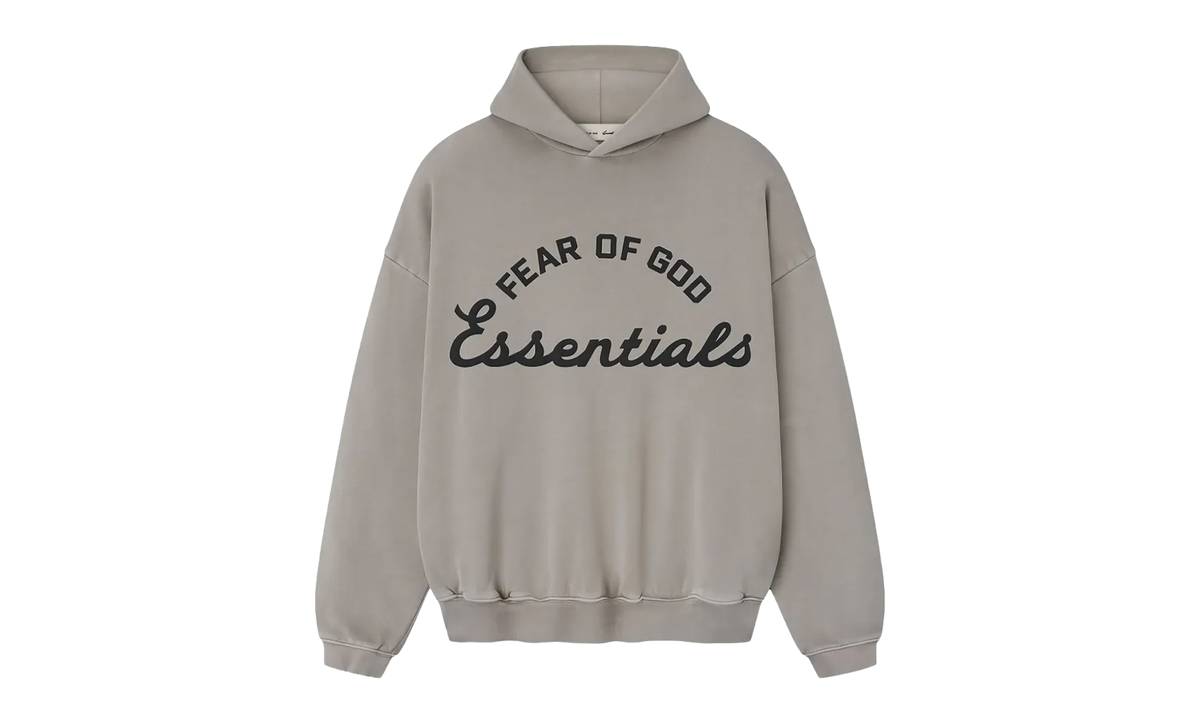 Training 90s Hoodie "Faded Seal" 192SP264463F