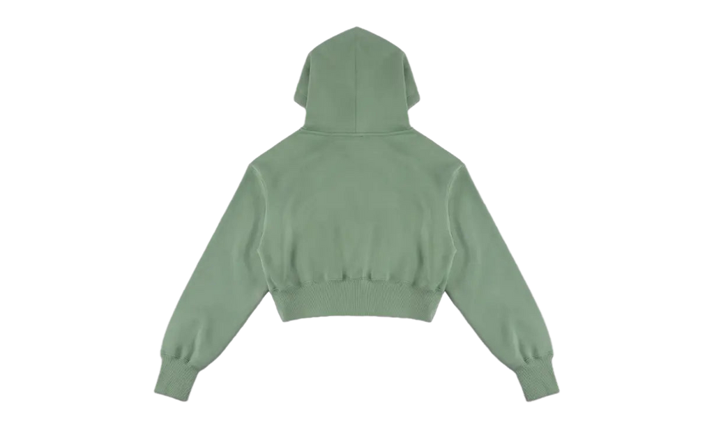 Sportswear Phoenix Fleece Full-Zip Cropped Hoodie WMNS "Steam / Sail" HV2426 006