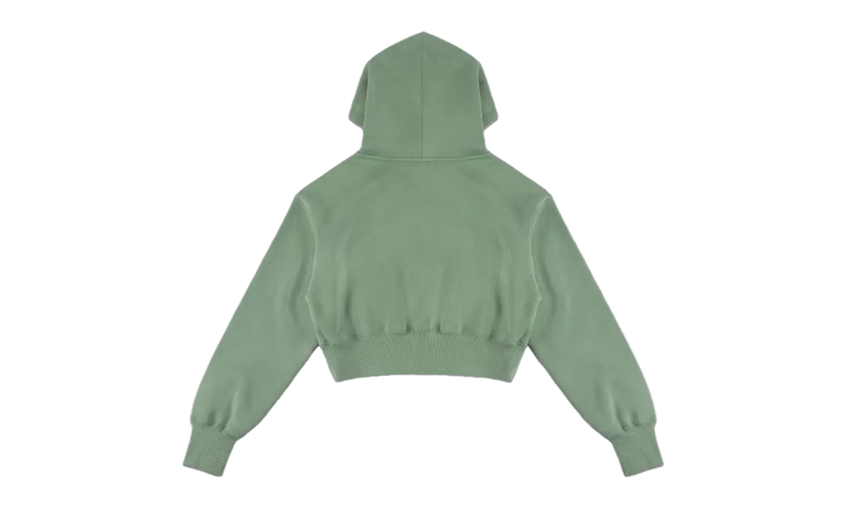 Sportswear Phoenix Fleece Full-Zip Cropped Hoodie WMNS "Steam / Sail" HV2426 006