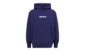 Box Logo Hoodie "FW21" SU11224