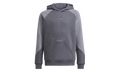 SPRT Collection Hoodie GS "Grey Five / Grey Three" H31213