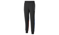BMW Motorsport Sweatpants "Black" 531188 04