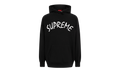 FTP Arc Logo Hoodie "SS21" SU10571