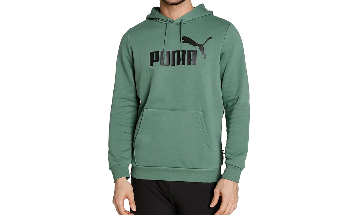 ESS+ 2 COLOR BIG LOGO HOODIE FL "Green" 846849 25