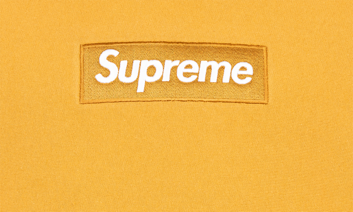 Box Logo Hoodie "FW21" SU11228