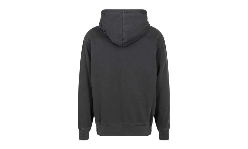 TNF Pigment Printed Hoodie "FW22" SU12461