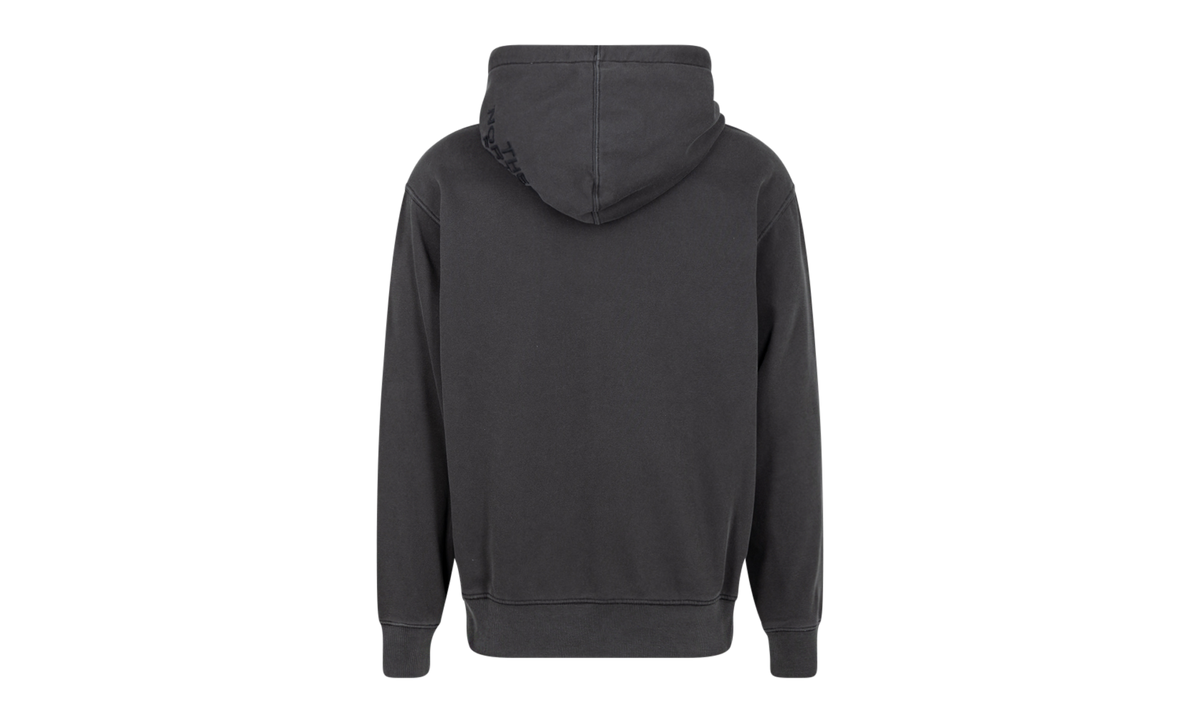 TNF Pigment Printed Hoodie "FW22" SU12461