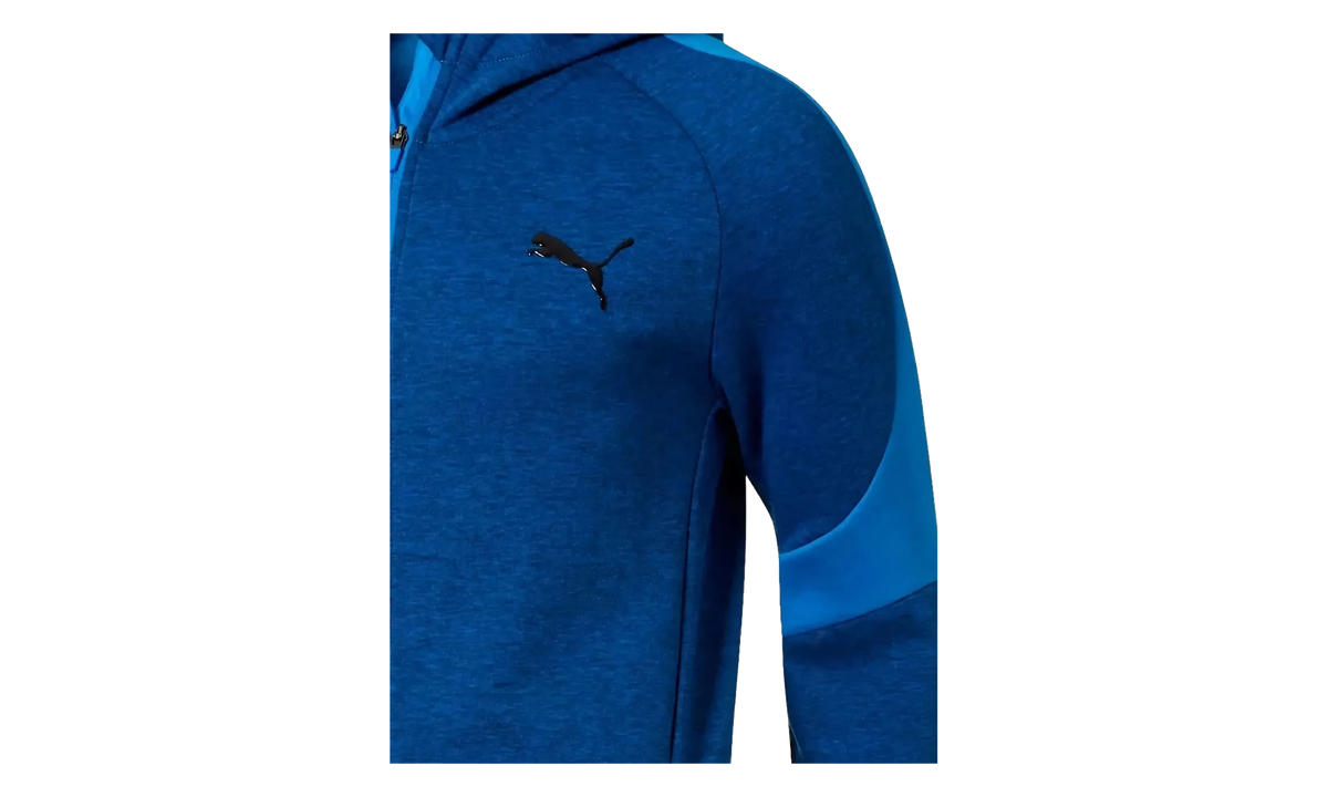 Evostripe Full Zip Hoodie 851722 37