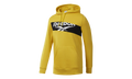 Classics Vector Hoodie "Toxic Yellow" EC5803