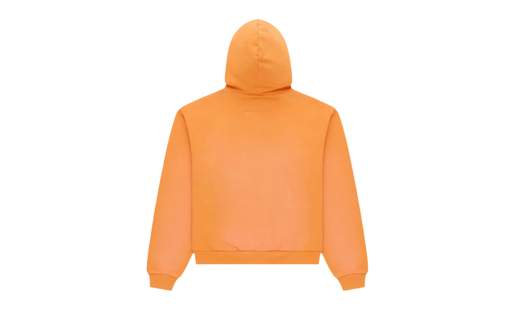 Issue 404 Hoodie "Orange" SP5der624