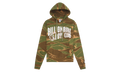 Camo Arch Hoodie "Chipmunk" 841 9301 CHIP