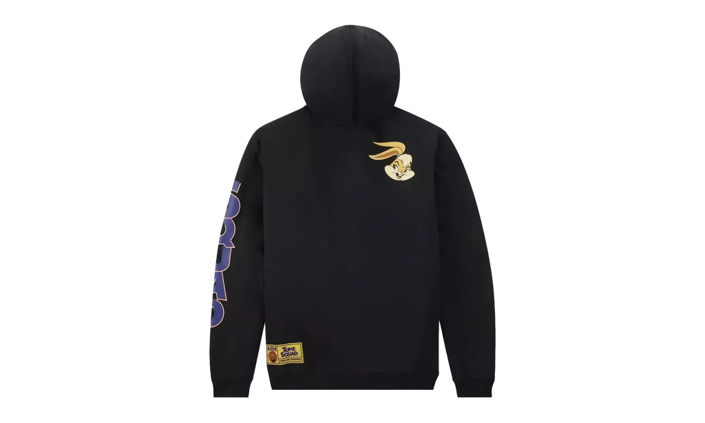 Lebron Tune Squad Hoodie "Space Jam: A New Legacy" DJ3900 010