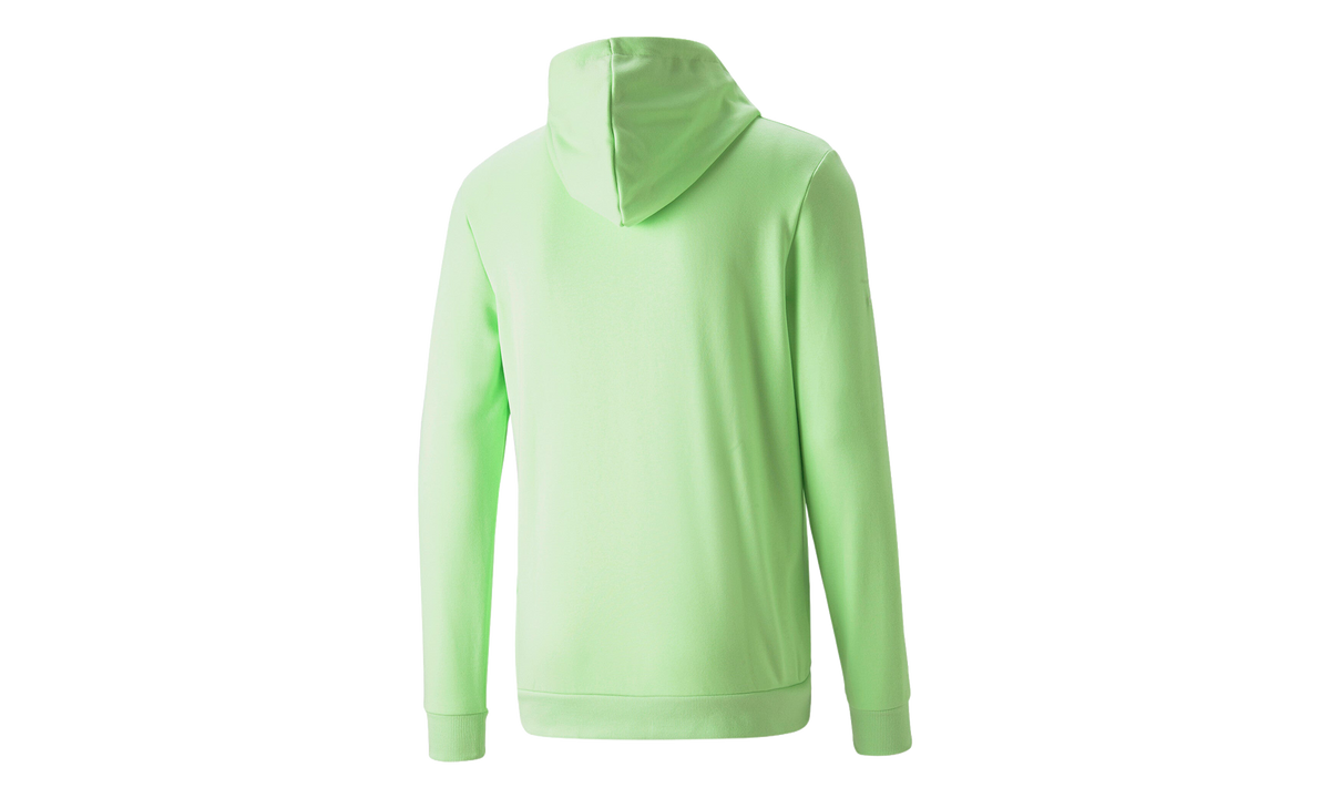 BMW Motorsport ESSENTIAL FLEECE HOODIE "Paradise Green" 532250 15